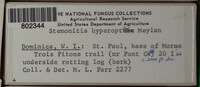 Image Associated With the Occurence